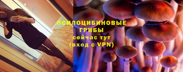 кокс Богородск