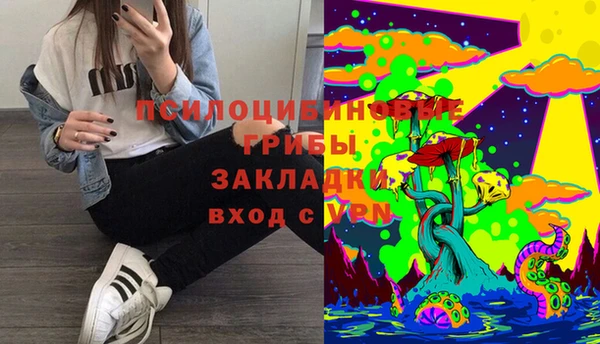 твердый Покровск