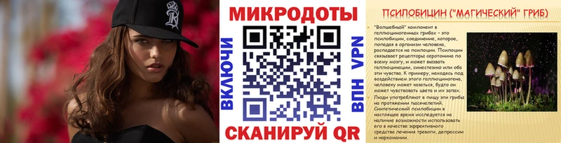 МЕГА ССЫЛКА  Данилов  Галлюциногенные грибы MAGIC MUSHROOMS 